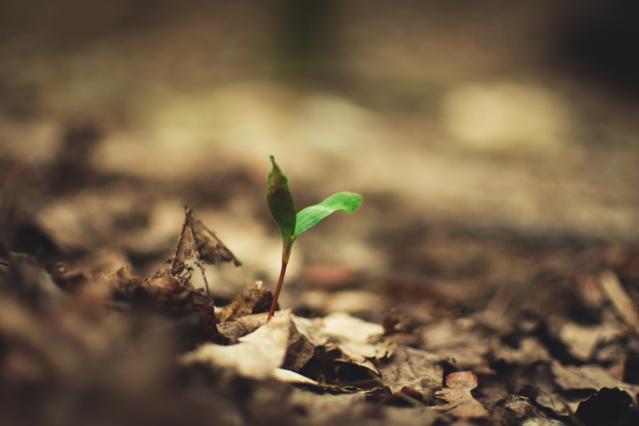 Ethereum, Sustainable Development Goals
